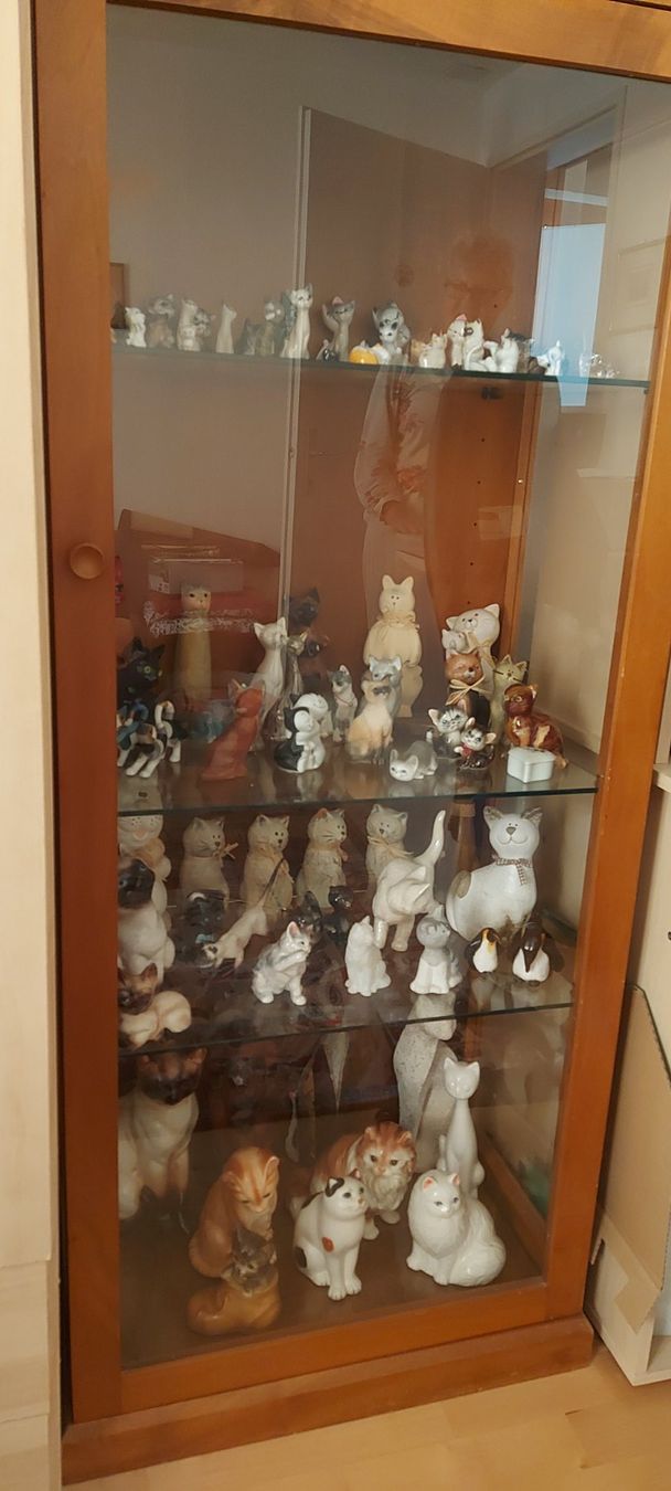 Vitrinen: Vitrine! – Gebraucht aus Rehetobel von Suejoe