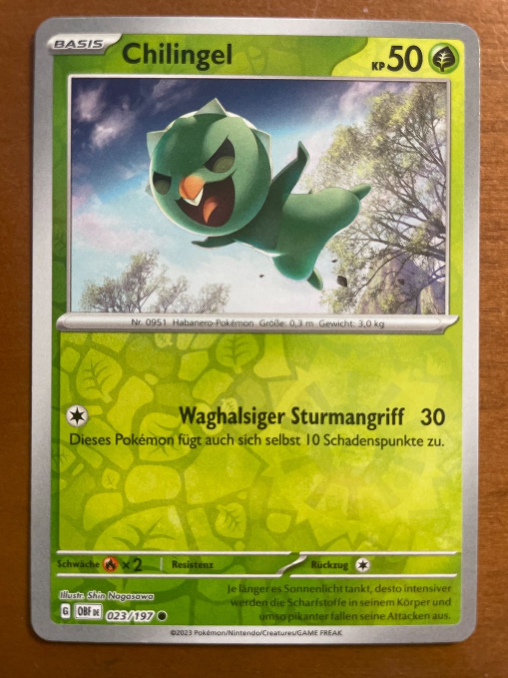 Pokémon Carte collezionabili: Pokemon Chilingel Reverse (Versand gratis) – Nuovo (secondo la descrizione) da Chur venduto da Angerson