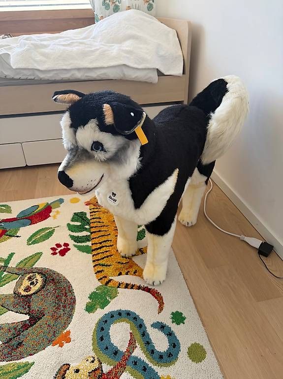Giocattoli: Peluche Steiff Studio Husky 80 cm – Usato da Genève venduto da SophieR539 2