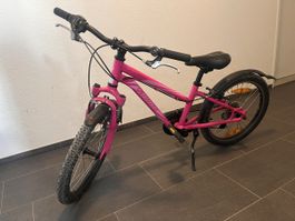 Kinder Velo Specialized 20“