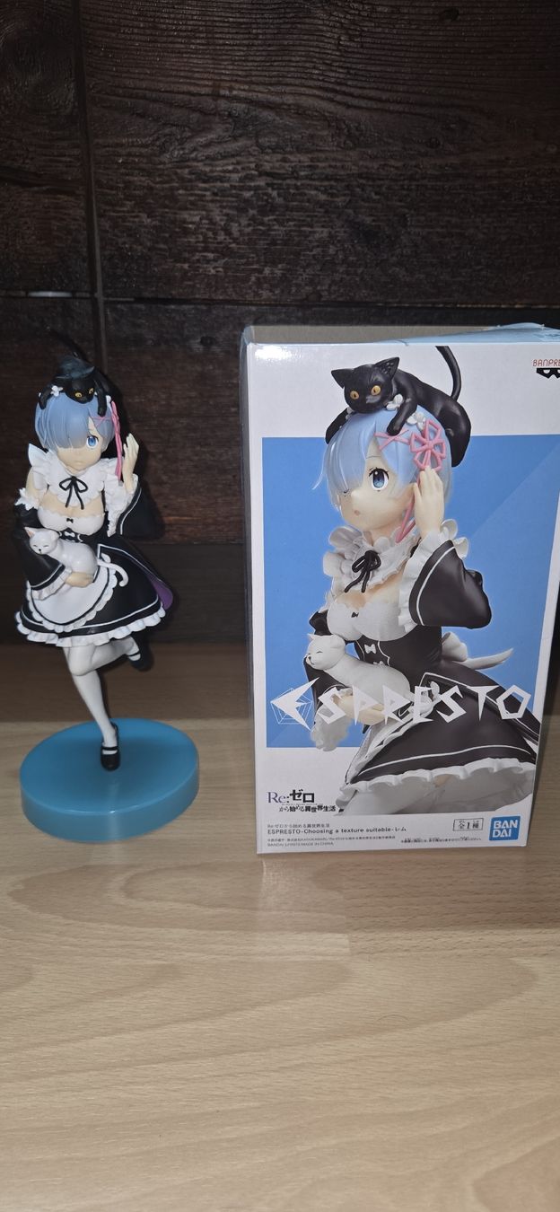 Figuren: RE:Zero Rem with Cat PVC Figur – Neu (gemäss Beschreibung) aus Knutwil von Michelle_Weibel