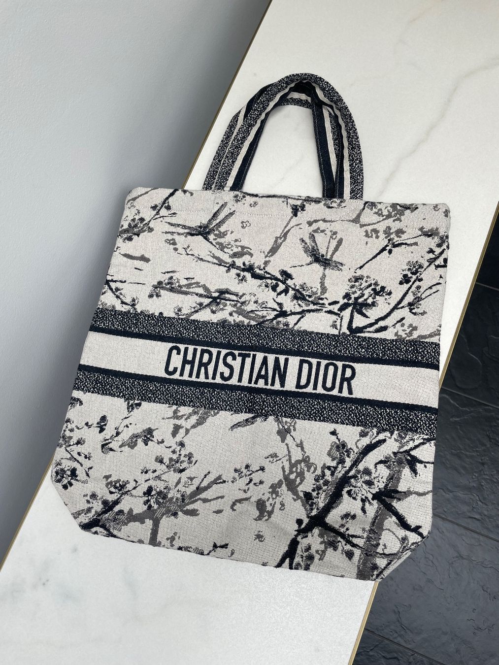 Dior Borse da donna: NEW christian dior tote bag fall 2025 – Nuovo (secondo la descrizione) da Vacallo venduto da kellyyy