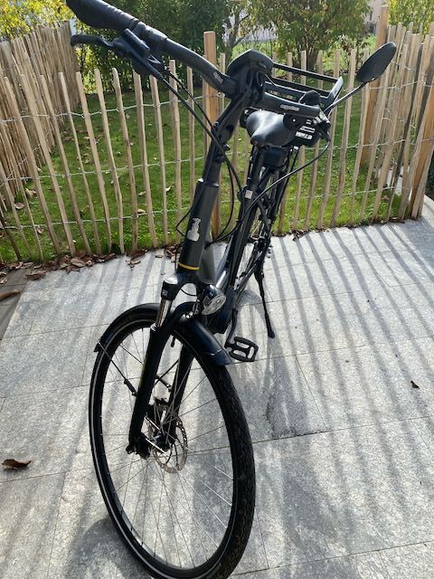 Für RALEIGH STOKER X3 Modell 2014, Original Halterungsdock Inklusive Bedieneinheit 4053846514497