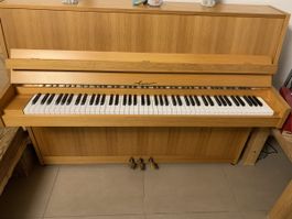 Schönes Klavier LUXOR für Musikliebhaber!