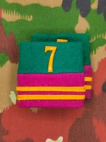Schulterpatten Ord. 1949 Oberleutnant, Bat 7, Set