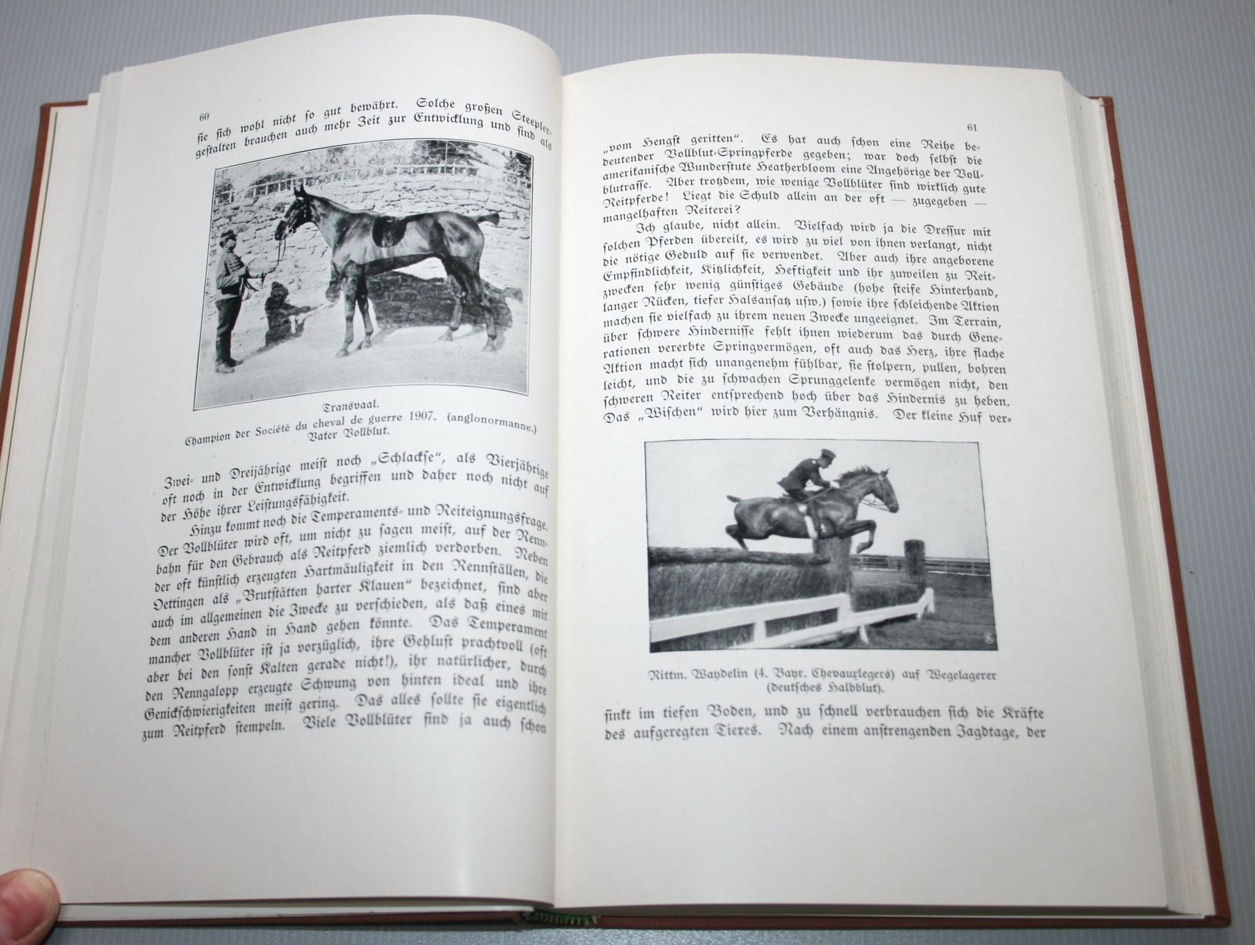 Libri: zu Gerath: Springprüfungen und Geländeritte, Pferde, 1911 – Usato da Schaffhausen venduto da Kartenprofi 3