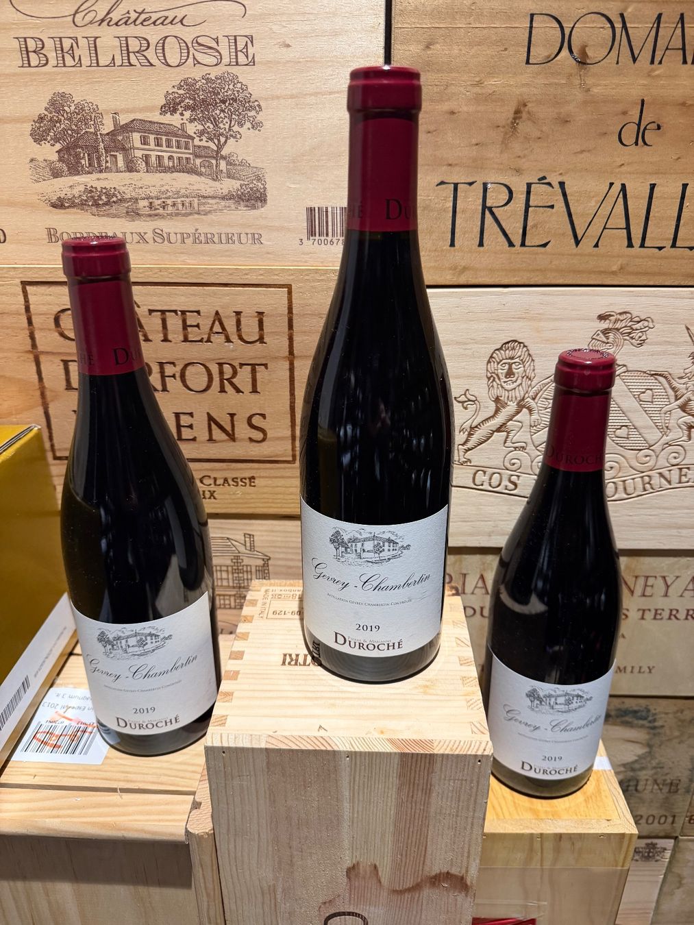 Vins: GEVREY CHAMBERTIN DUROCHE 2019 – D'occasion à Vandoeuvres par jetdo66