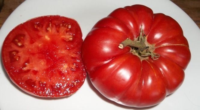 Pflanzen & Samen: 30 Samen OMAR'S LEBANESE Tomato – Neu (gemäss Beschreibung) aus Ehrendingen von VerveinaSamen 2