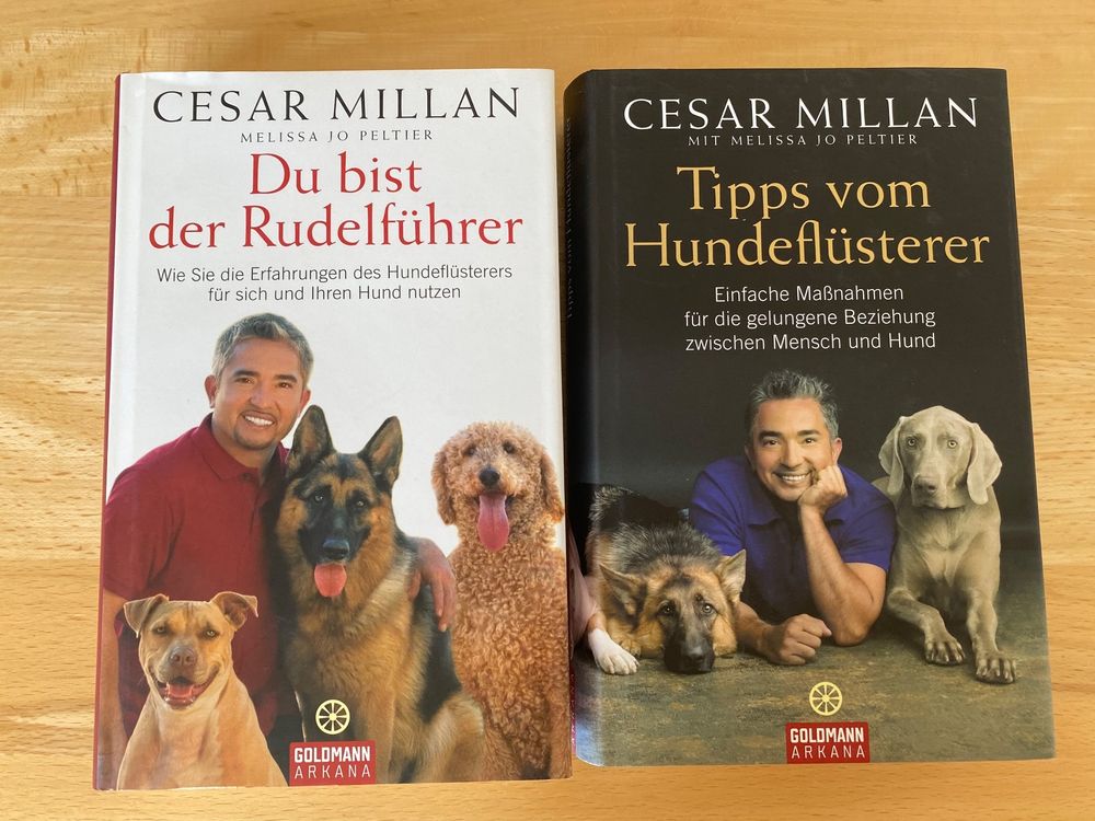 2 Bücher von Cesar Millan/Hunde Erziehung | Kaufen auf Ricardo