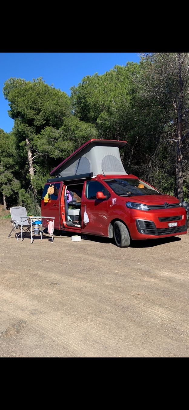 Citroën Automobili: Van Citroën spactourer (jumpy) – Usato da Lausanne 26 venduto da did_7kq2