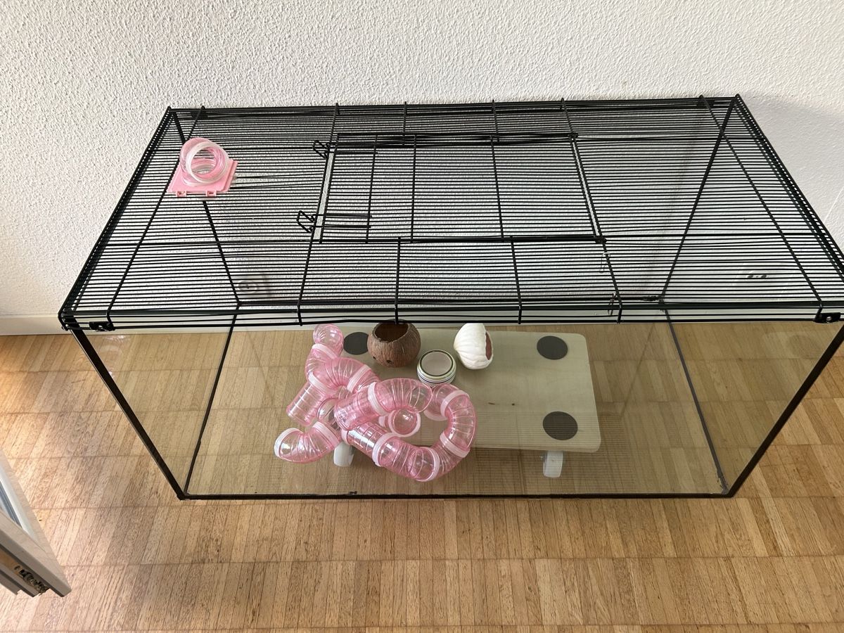 Terrario: Käfig Kleintier Glas Terrarium gebraucht – Usato da Igis venduto da swyssair01