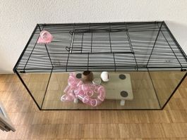 Käfig Kleintier Glas Terrarium gebraucht
