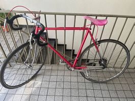 Renner Velo MIYATA