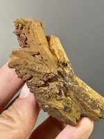 Seltener Gold-Himalaya-Bergkristal