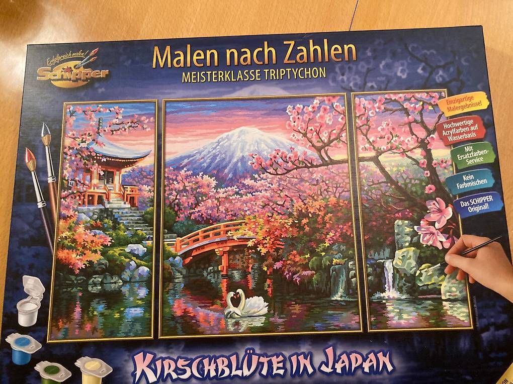 Dipinti: Bild/Gemälde "Kirschblüte in Japan", 3-teilig – Nuovo (secondo la descrizione) da Gelterkinden venduto da froggy80 4