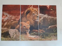 Löwenbild 3-Teilig 100 x 150cm