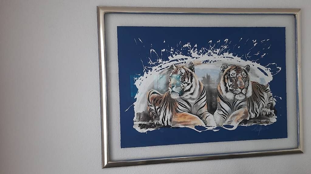 Poster & Bilder: Tiger - Bild, Rolf Knie – Gebraucht aus Zuckenriet von Delta31