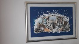 Tiger - Bild, Rolf Knie