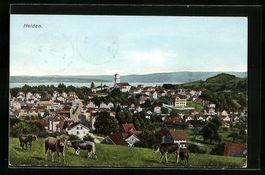 Heiden, Totale von der Bergwiese aus ges