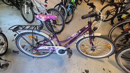 FALTER Velo Fahrrad für Körpergröße ab ca 130 bis 150cm