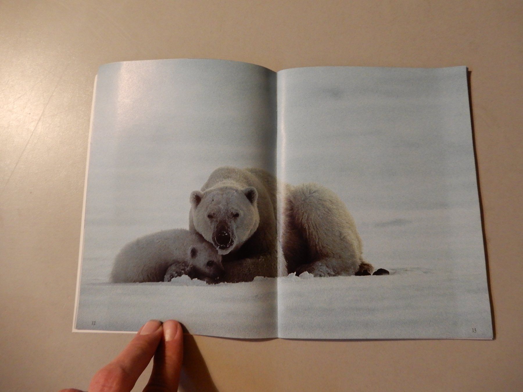Libri: Makis Gut, Eisbär - Born for Freedom-Kinderbuch,Top! – Usato da Erstfeld venduto da Mario_boe0 3