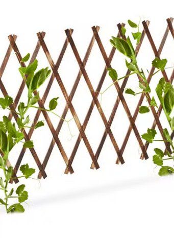 Altre Decorazioni per giardino: Rankgitter Holz 12er Set – Usato da Wallisellen venduto da CONI02
