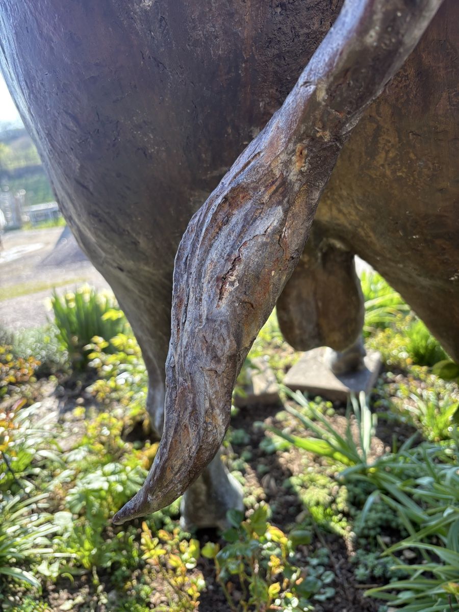 Sculture & Statue: Bronzeskulptur Bison lebensgross – Usato da Herznach venduto da kai_p5bm 5