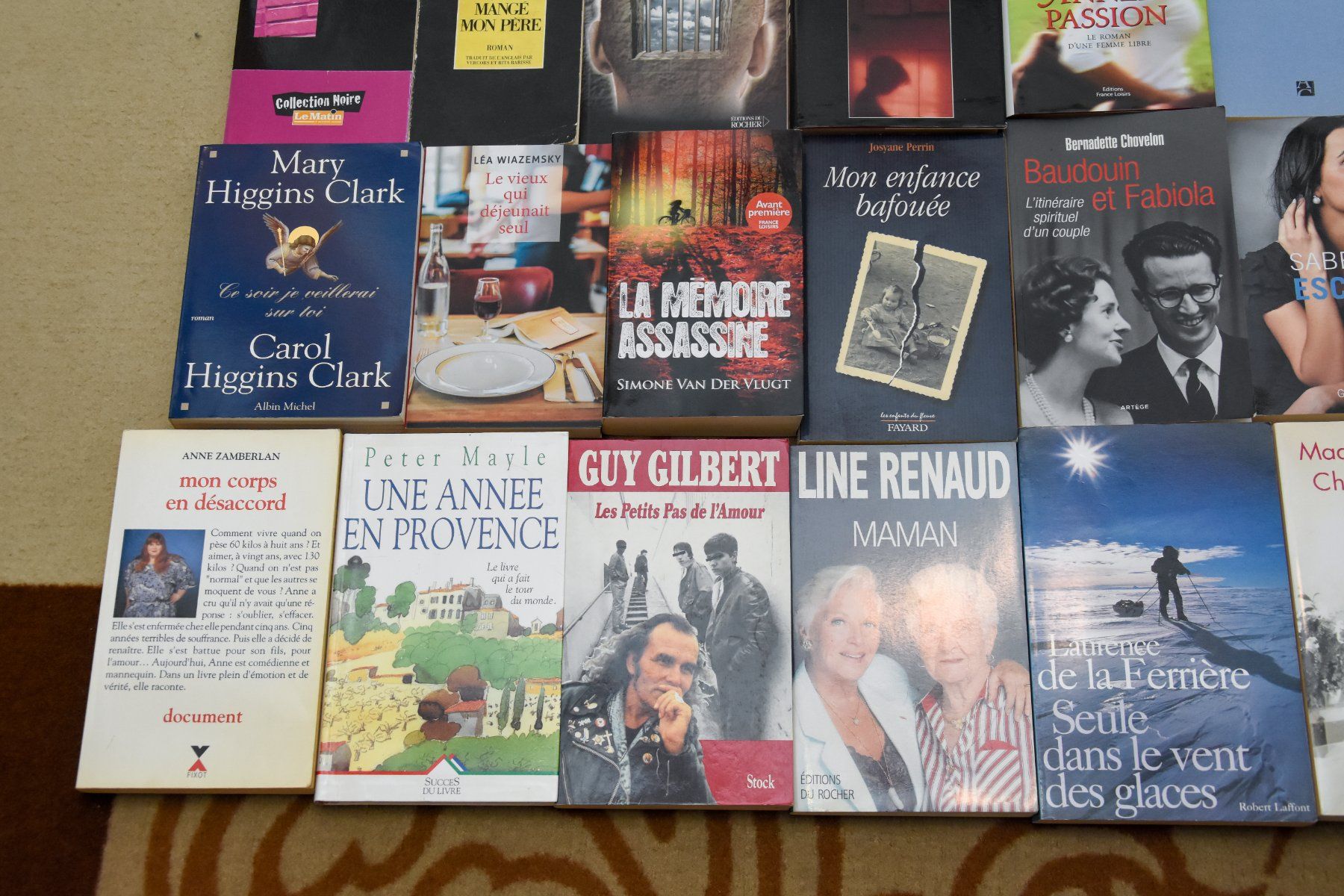 Bücher: Lot 21 livres – Gebraucht aus Belmont-sur-Yverdon von bichet02 3
