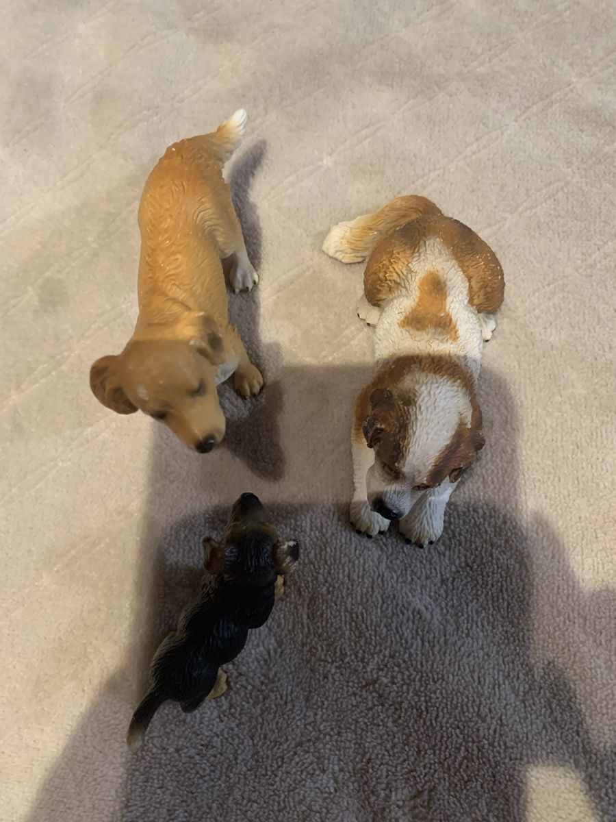 Schleich Statuette: Hunde und Katzen 2 x 3 Stück – Usato da Richterswil venduto da irenemiz 1