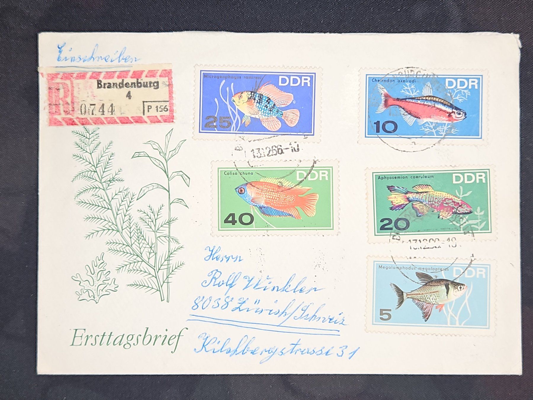 Alle Briefmarken: CL25 Enveloppe + Timbre Allemagne 1966 – Gebraucht aus Cousset von Patrick_Collections