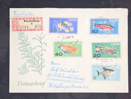 CL25 Enveloppe + Timbre Allemagne 1966