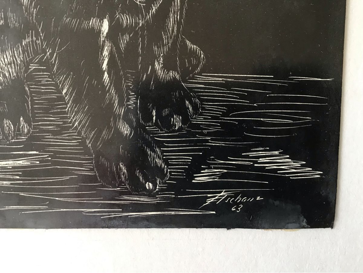 Dipinti: Spaniel Ritzzeichnung Hundeportrait Tschanz 1963 – Usato da Aefligen venduto da Bubu218 1