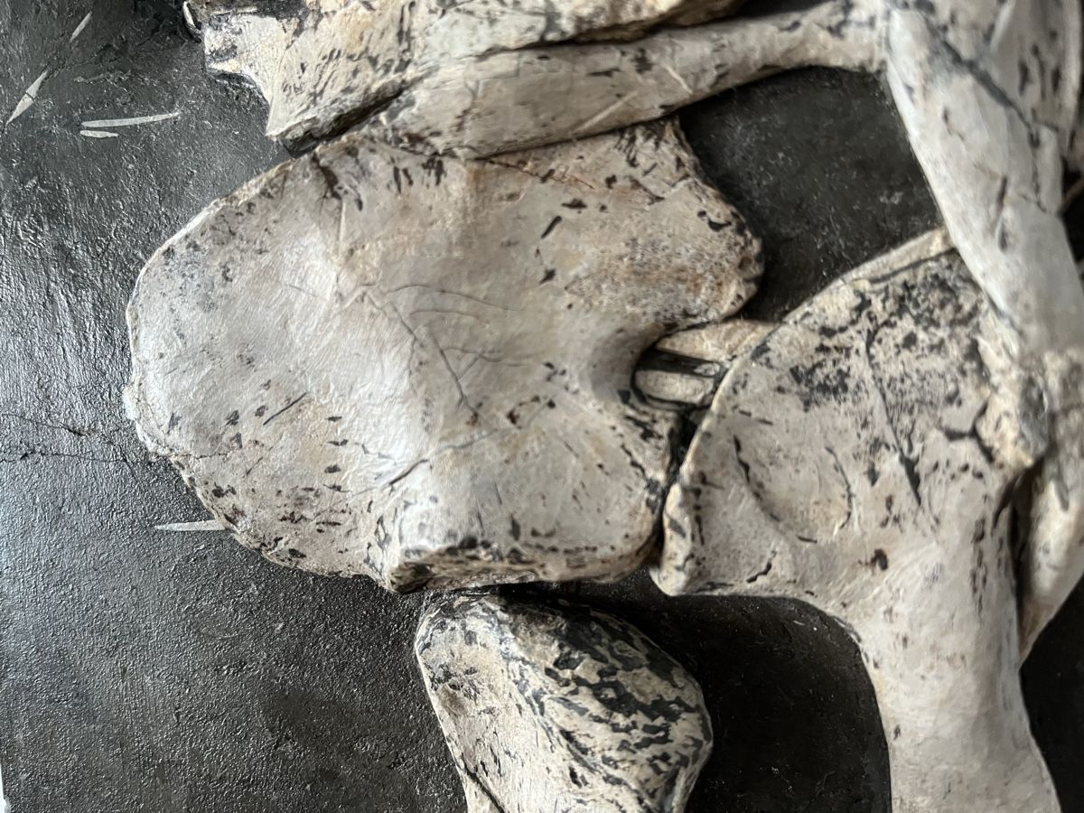 Fossiles: Ichthyosaurier Fossil Holzmaden – Neuf (Voir description) à Orpund par Steinway 5