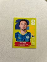 Panini BIH 3