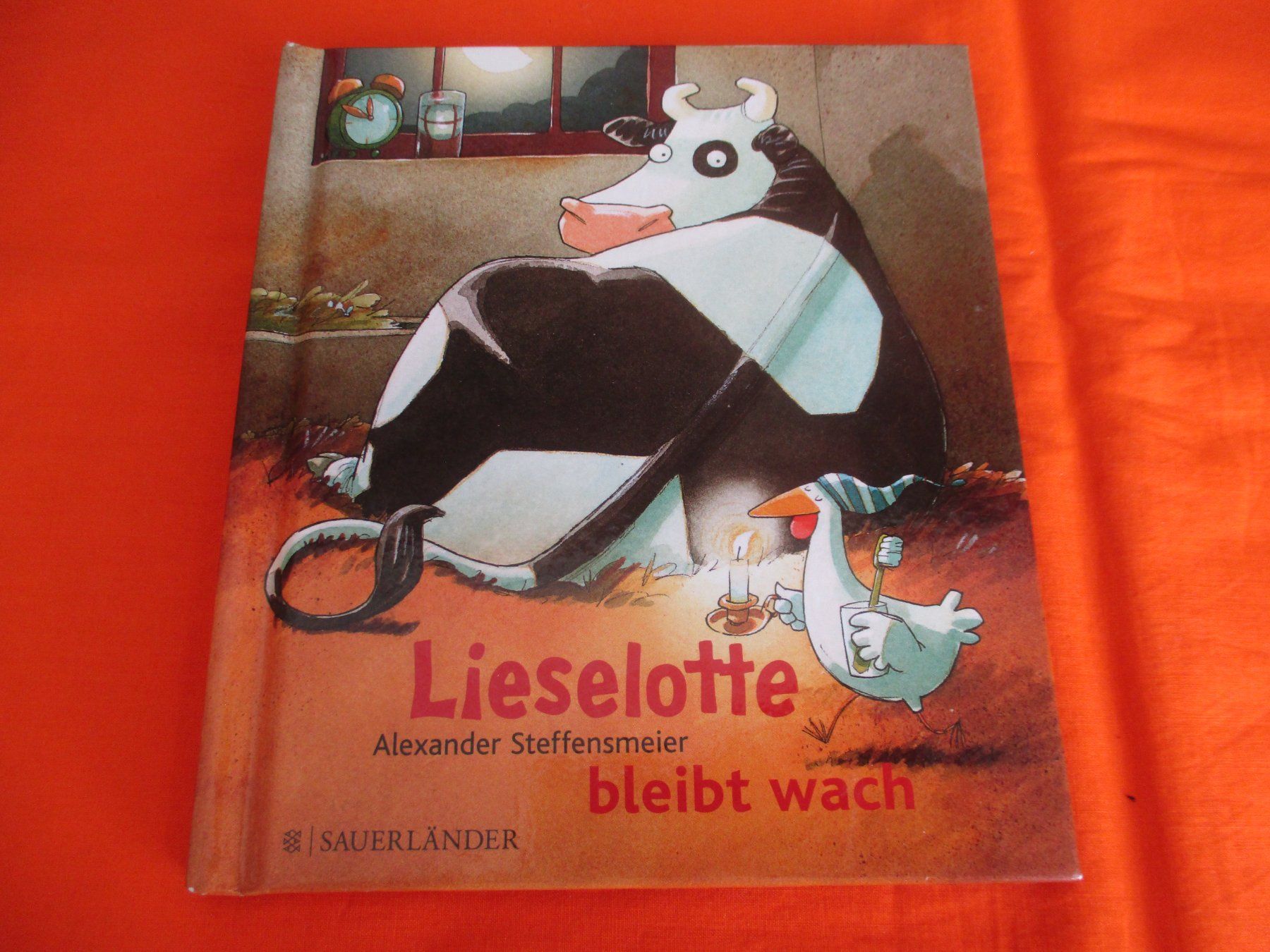 Libri: Buch Liselotte bleibt wach – Usato da Birsfelden venduto da alles-muss-raus