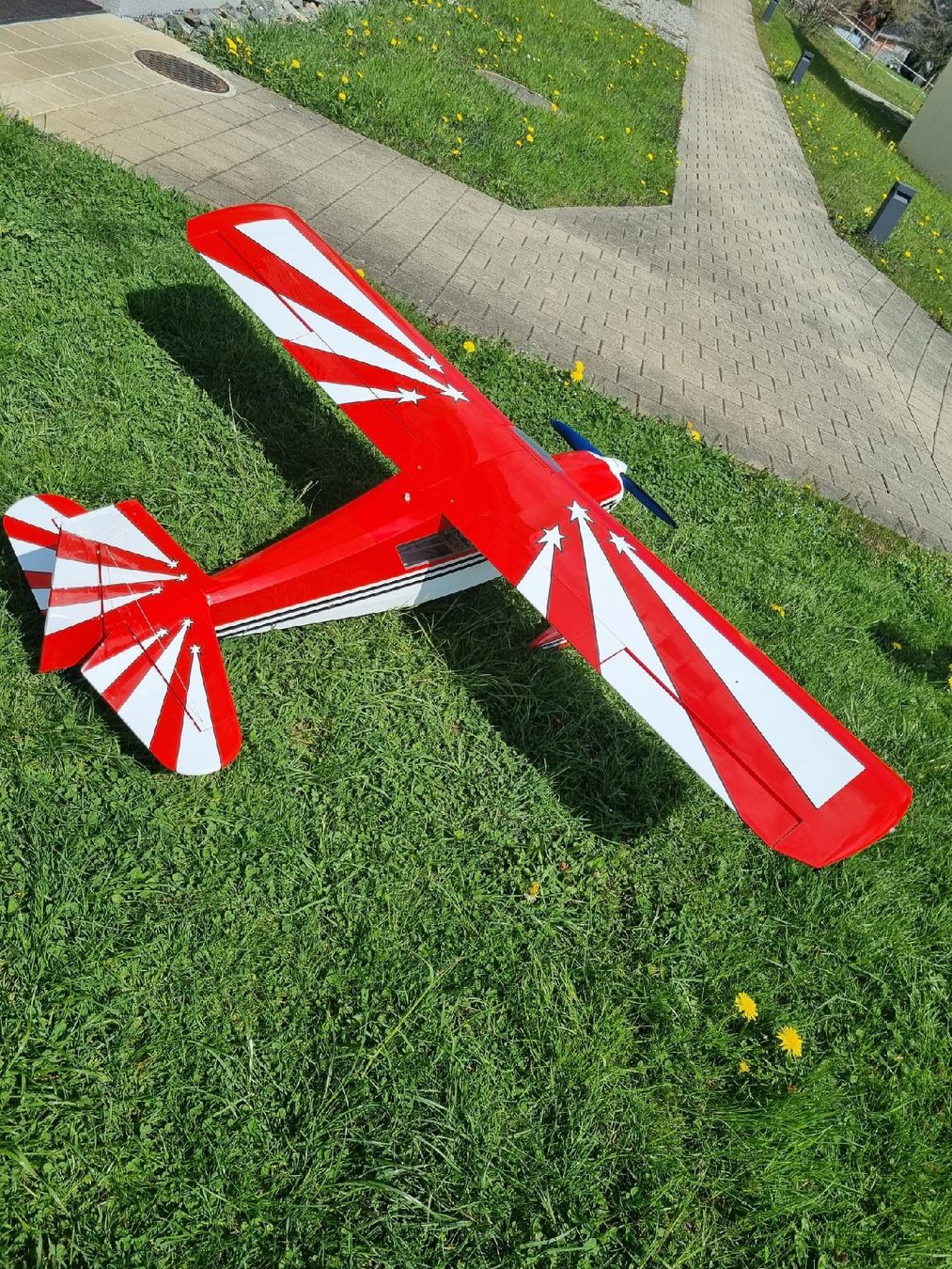 RC Modellbau: schöne Belanca Citebria – Gebraucht aus Sennwald von Flying 1