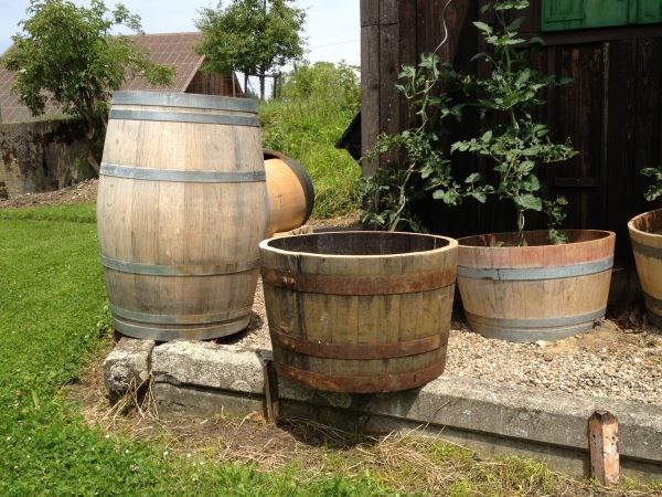 Altro: Blumenkübel vom Whiskyfass – Usato da Buch am Irchel venduto da Skunky3