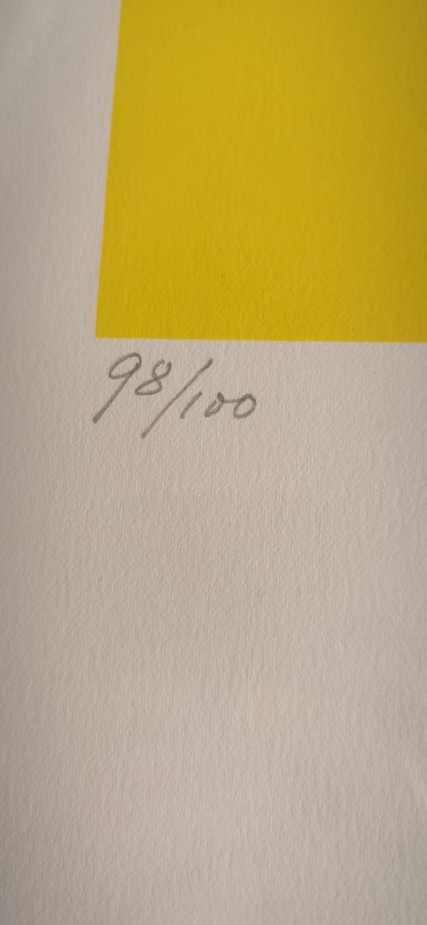 Grafica & Litografie: Siebdruck Serigraphie Boethy Steiner – Usato da Dornach venduto da ame.hq 1