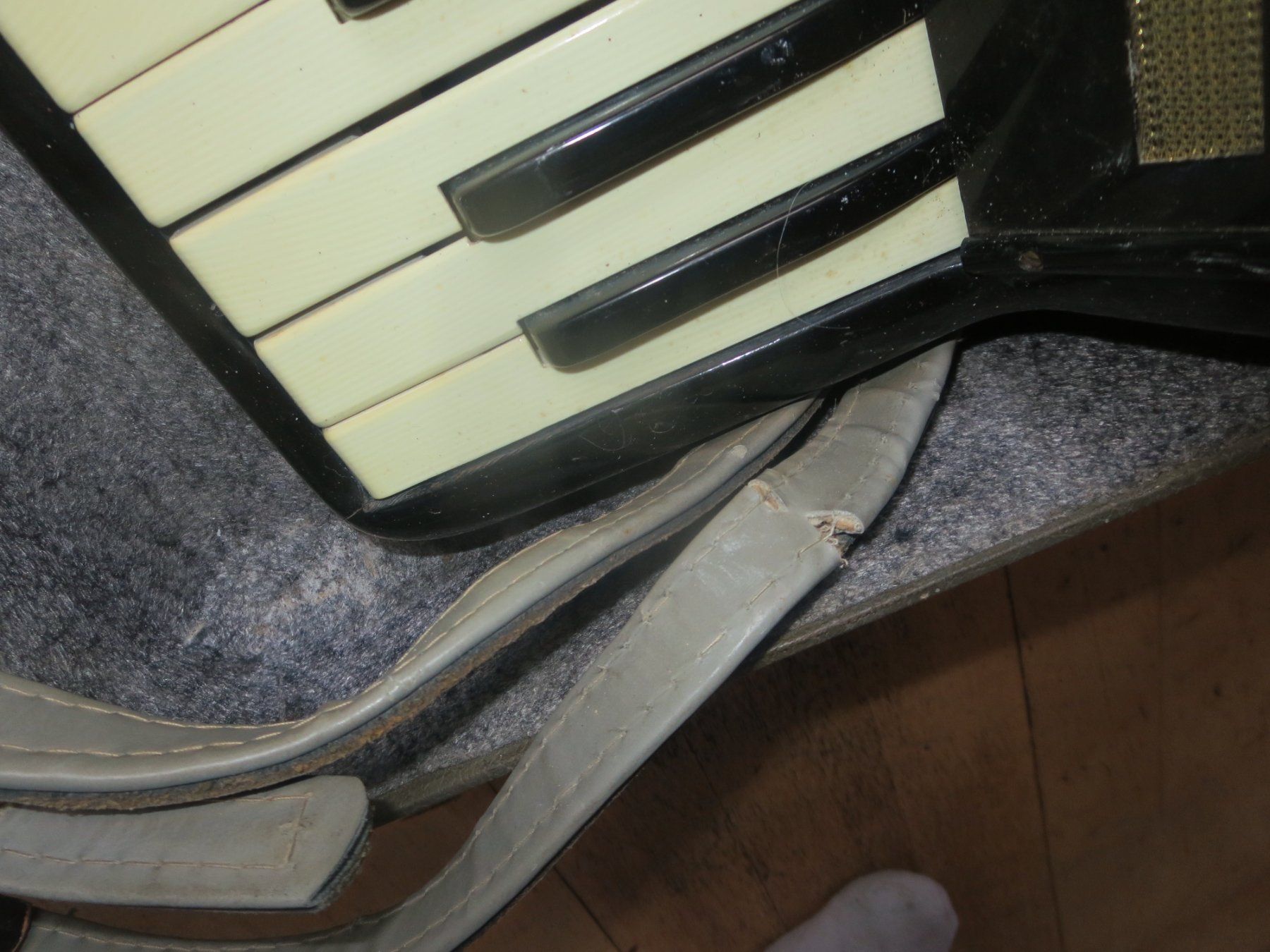 Hohner Strumenti musicali: altes Hohner Akkordeon – Usato da Rüschegg-Heubach venduto da bmw325x 4