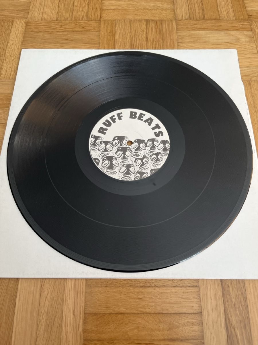 Dischi in vinile: Lenny Dee & Rob Gee Hardcore / Gabber Vinyl – Usato da Wangen b. Olten venduto da break72 3