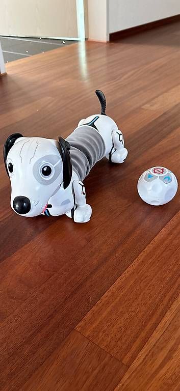 Spielzeuge: Spielhund mit Ball- Suchfunktion und Geräuschen – Gebraucht aus Riken AG von Bimbo1968