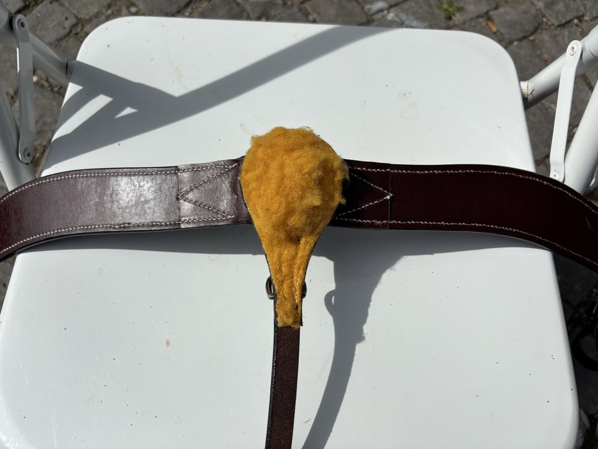 Selle & Accessori: Westernvorderzeug – Usato da St. Gallen venduto da may_8fbd 5