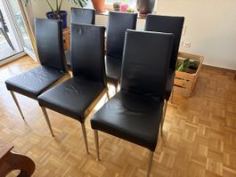 6 Stühle in Leder und Chromstahl