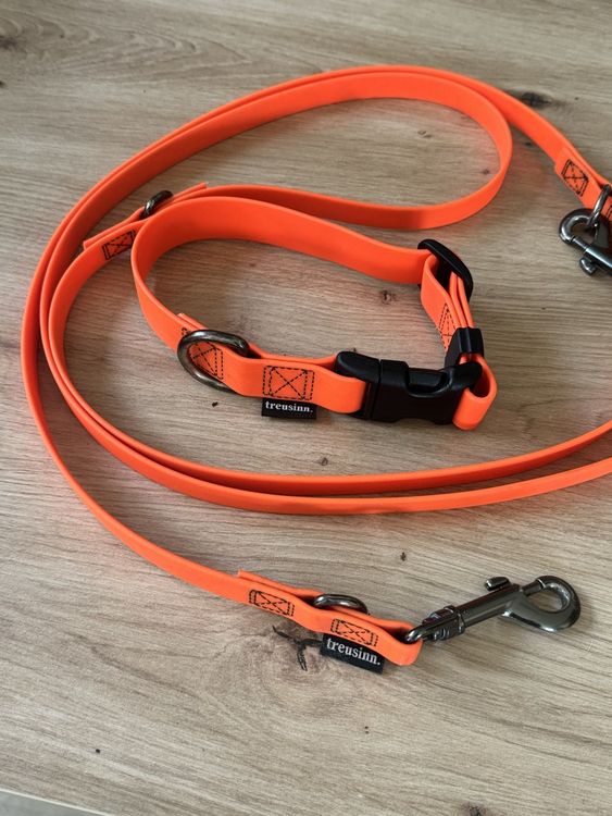 Bio-leine Biothane Hundehalsband Mit Dornschnalle – Wasserabweisend, Für Halsumfang 40–50 Cm, In Orange