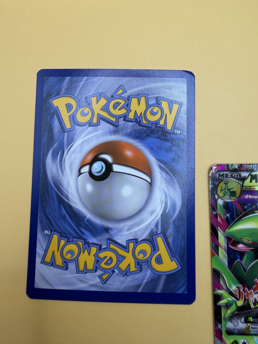 Pokémon Carte collezionabili: Mega Sceptile EX & Sceptile EX  – Usato da Wetzikon ZH venduto da KartenKid 4