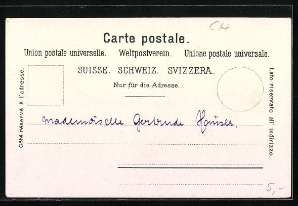 Cartoline postali: AK Neuveville, Panoramaansicht – Usato da Berlin venduto da bartko-reher 1