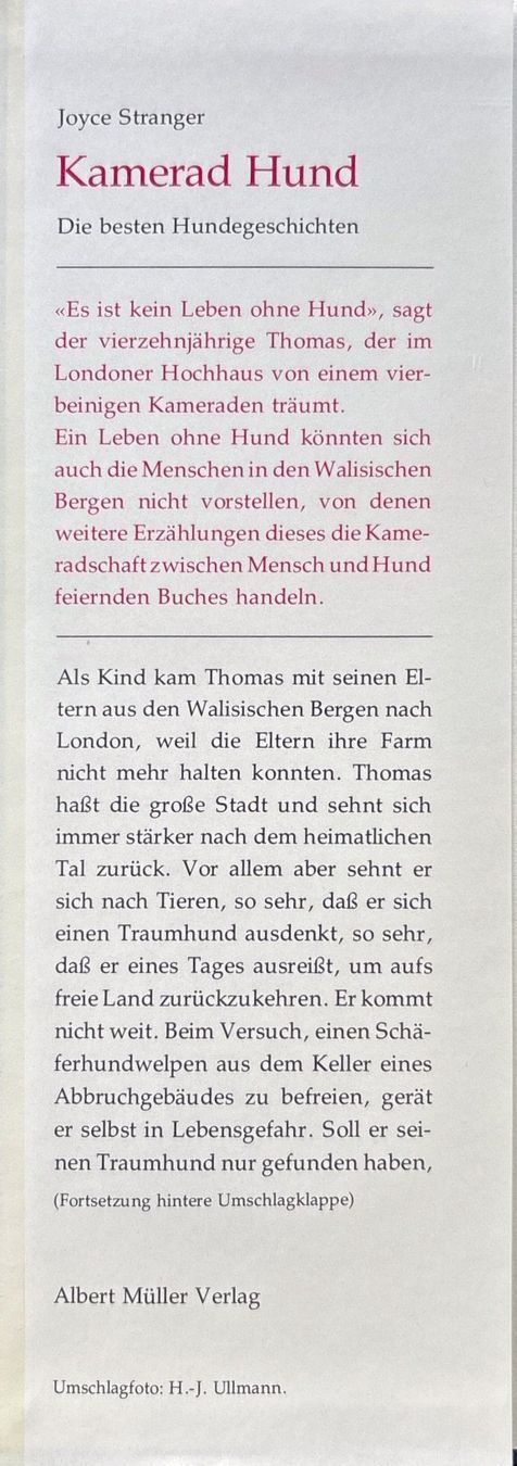 Libri: Kamerad Hund - Hundegeschichten – Nuovo e nell'imballaggio originale da Sarnen venduto da Livres 1