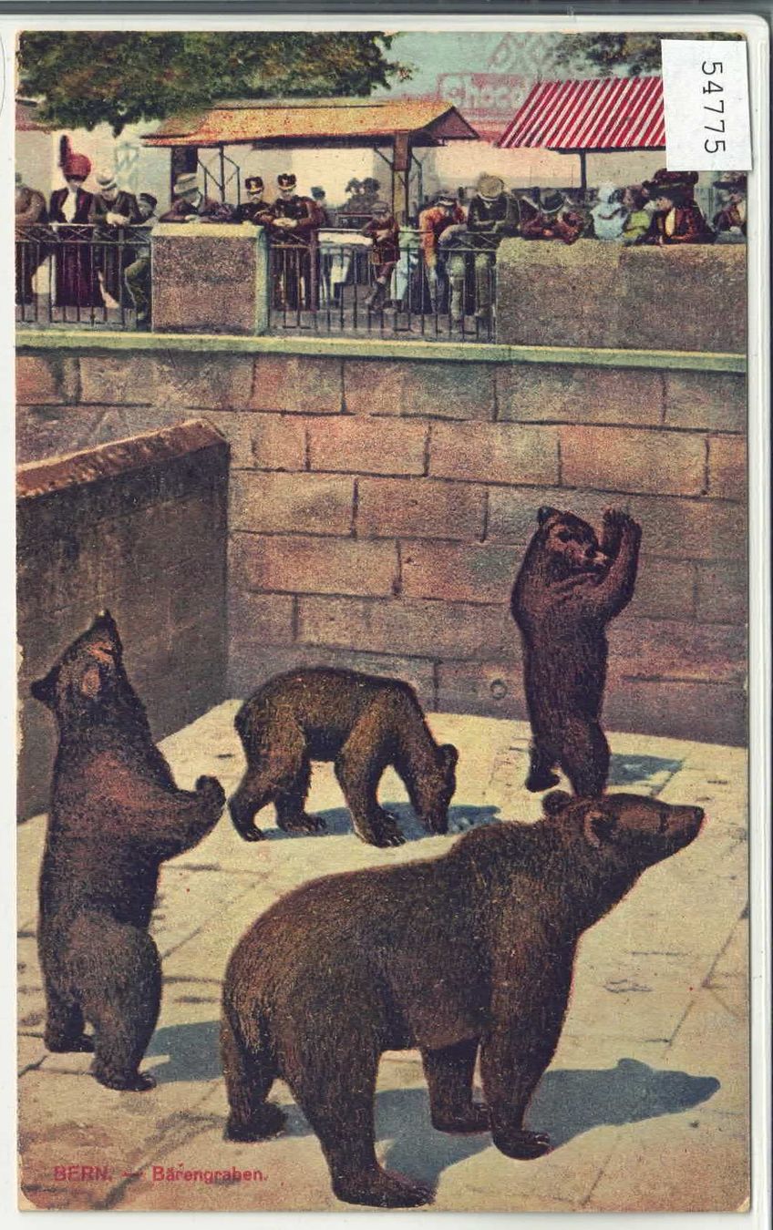 Ansichtskarten: Bern - Bärengraben - Litho – Gebraucht aus Ettingen von Kartenplanet