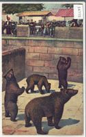 Bern - Bärengraben - Litho