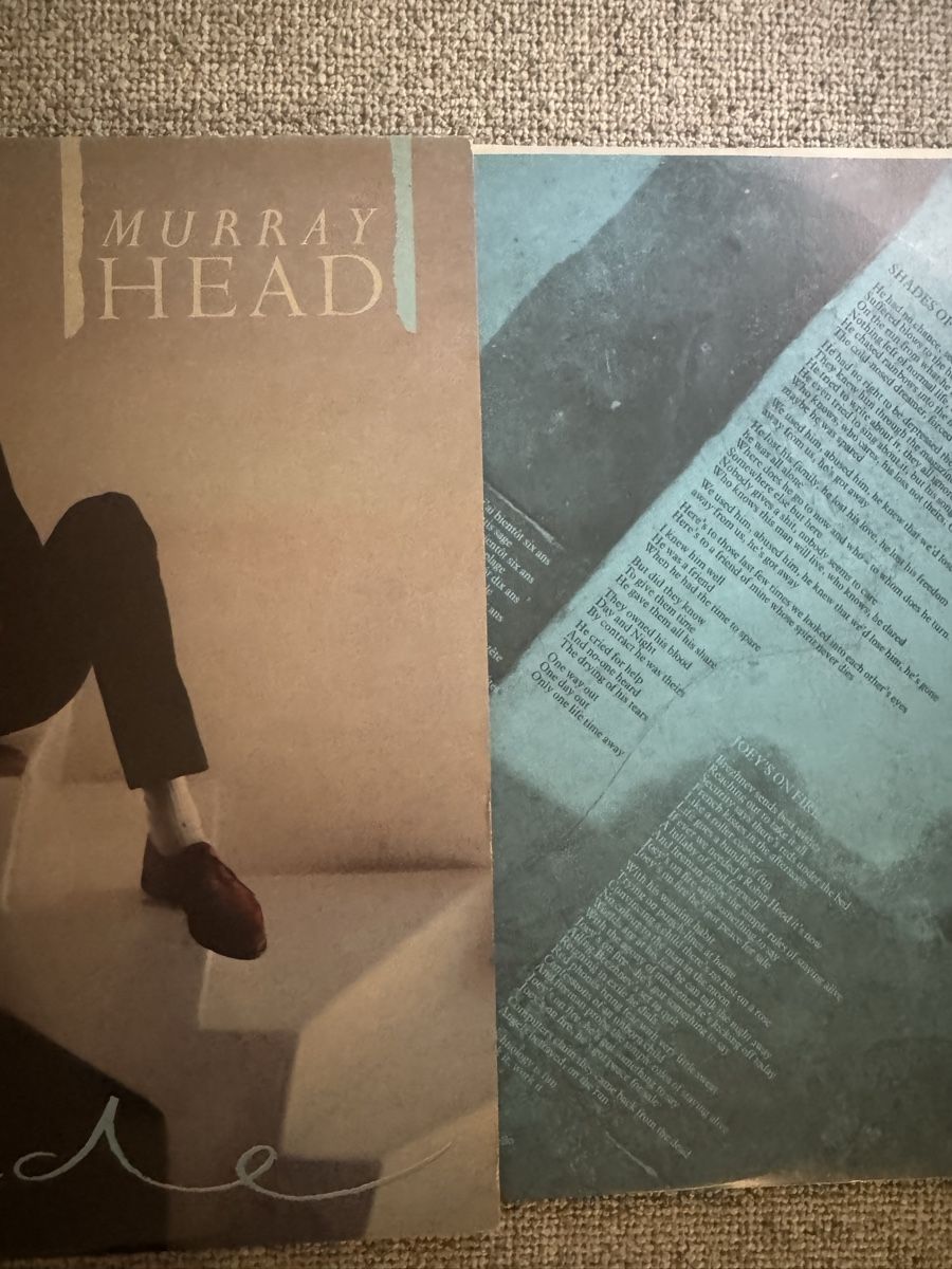 Schallplatten: Murray Head - Shade - LP - 1982 – Gebraucht aus Rorbas von BlackstarRecords 2
